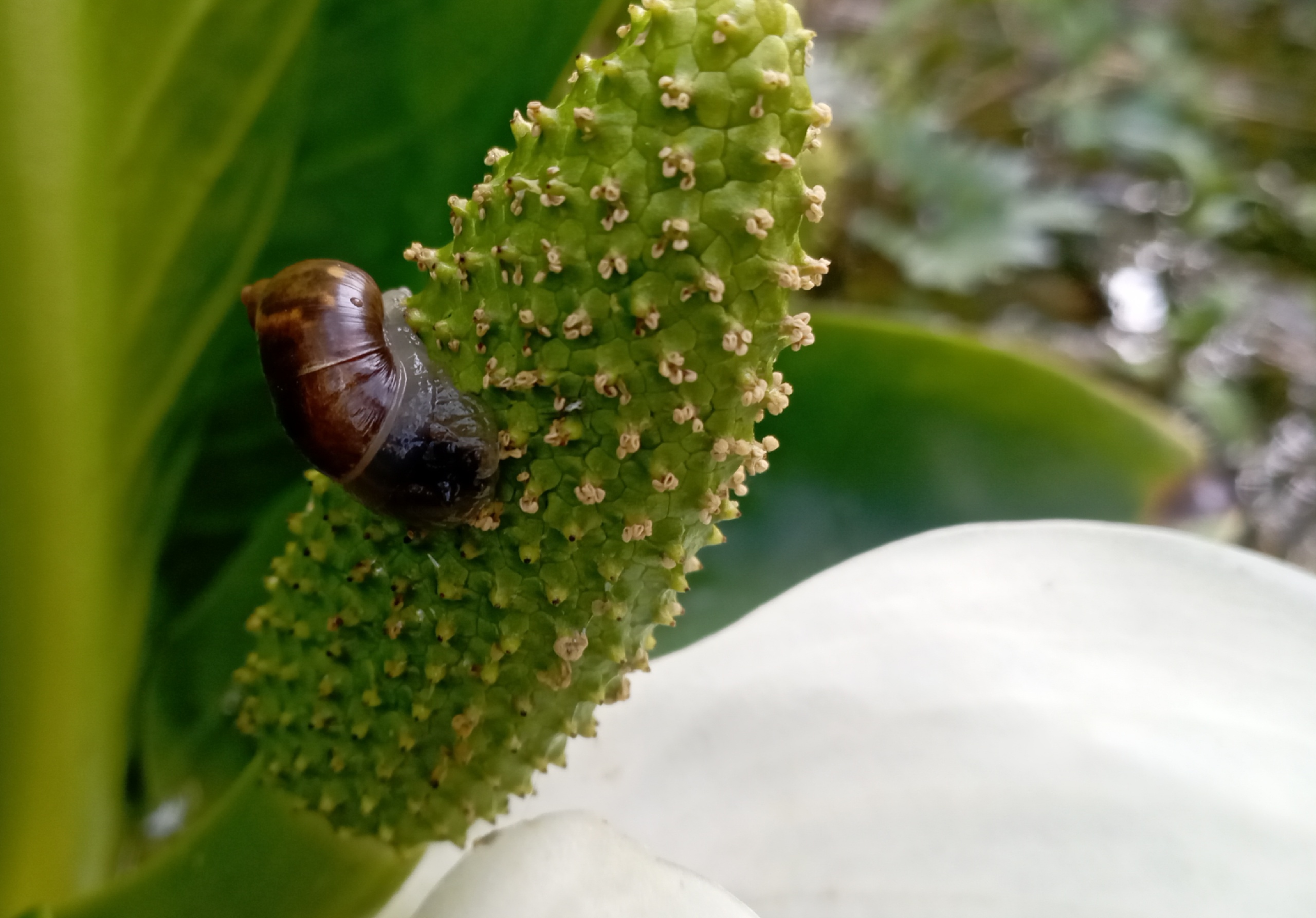 SfFIXVgwvGA9L6z6JFqElNJNatf9WQHBfZXuzuZzEmR1awcgGjqmL_xx-8WbuiCaOoOYO6RQ-4ZMPXozxl7kpGYj