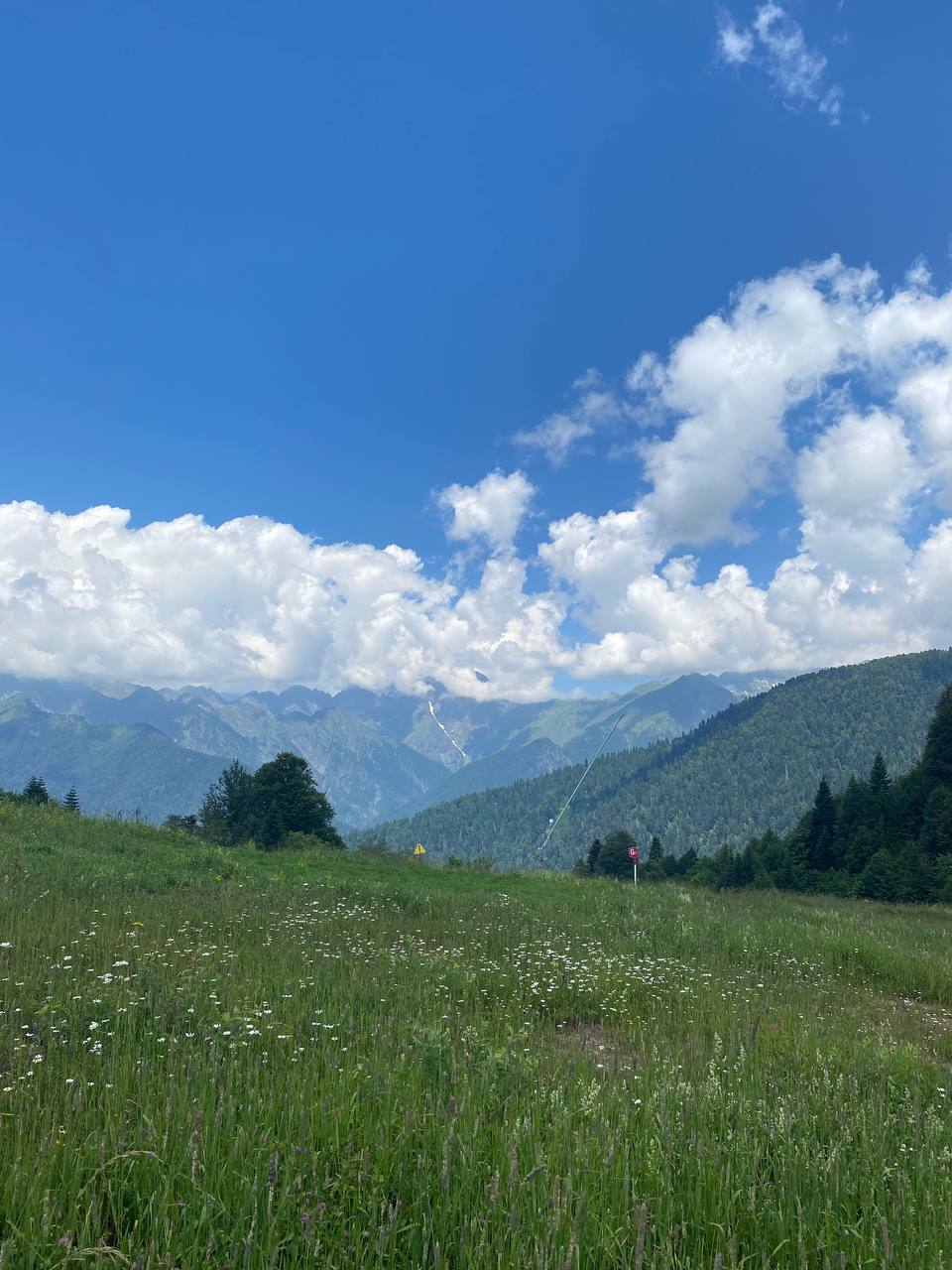 IMG_20251008_083944_765