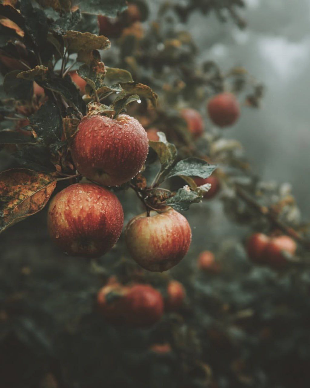 photo_2025-10-08_09-10-17