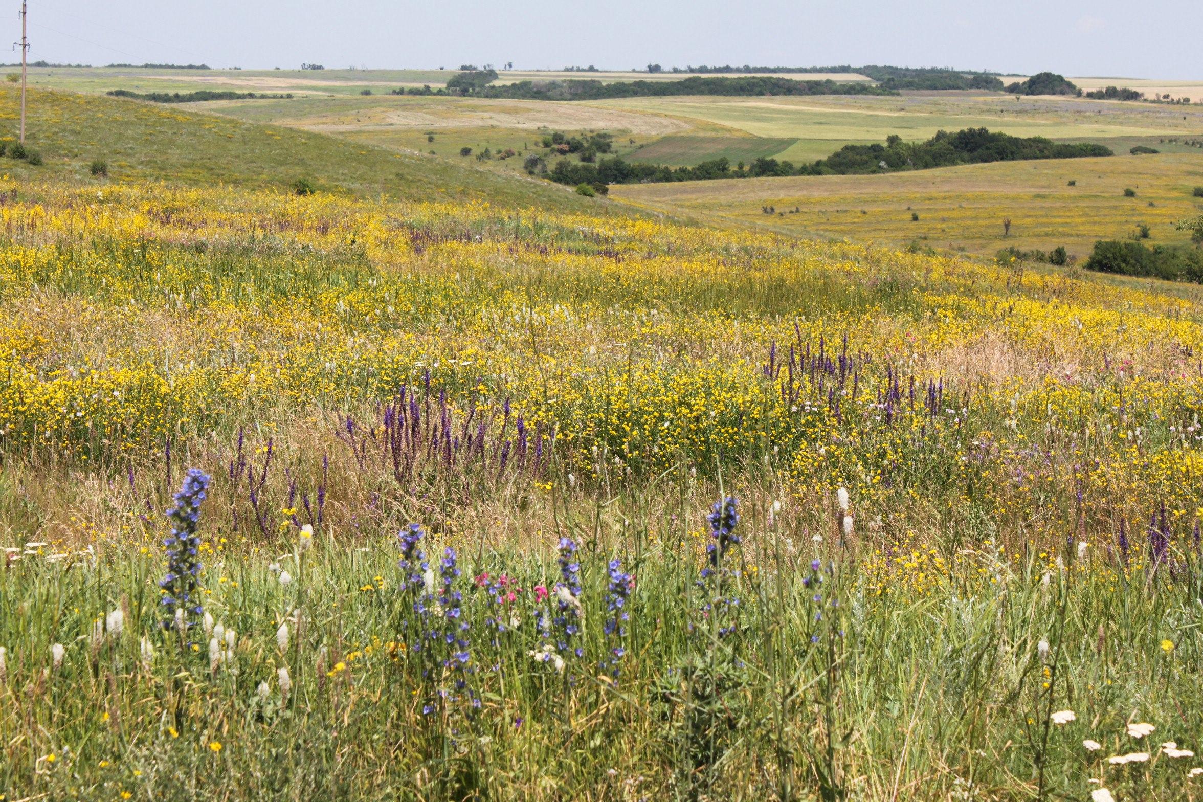 VzCaCYd3NuOn0BtaOOAkWDmXqNXM3yh9DTEoX50aAmf7mmjRr_oeT25VBUc1wUE-RyaRIDtV