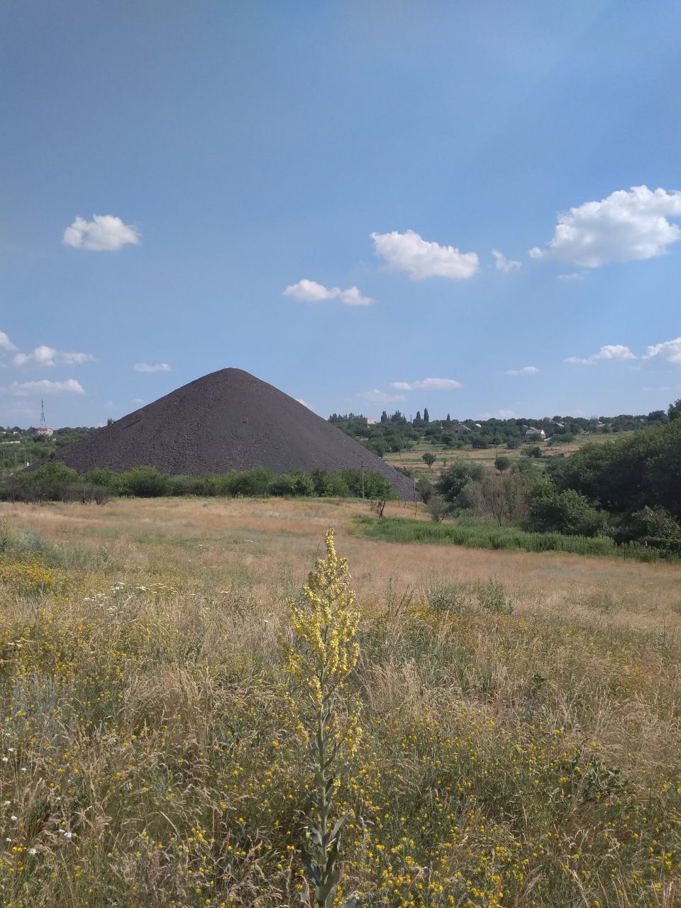 IMG_20251008_092927_918