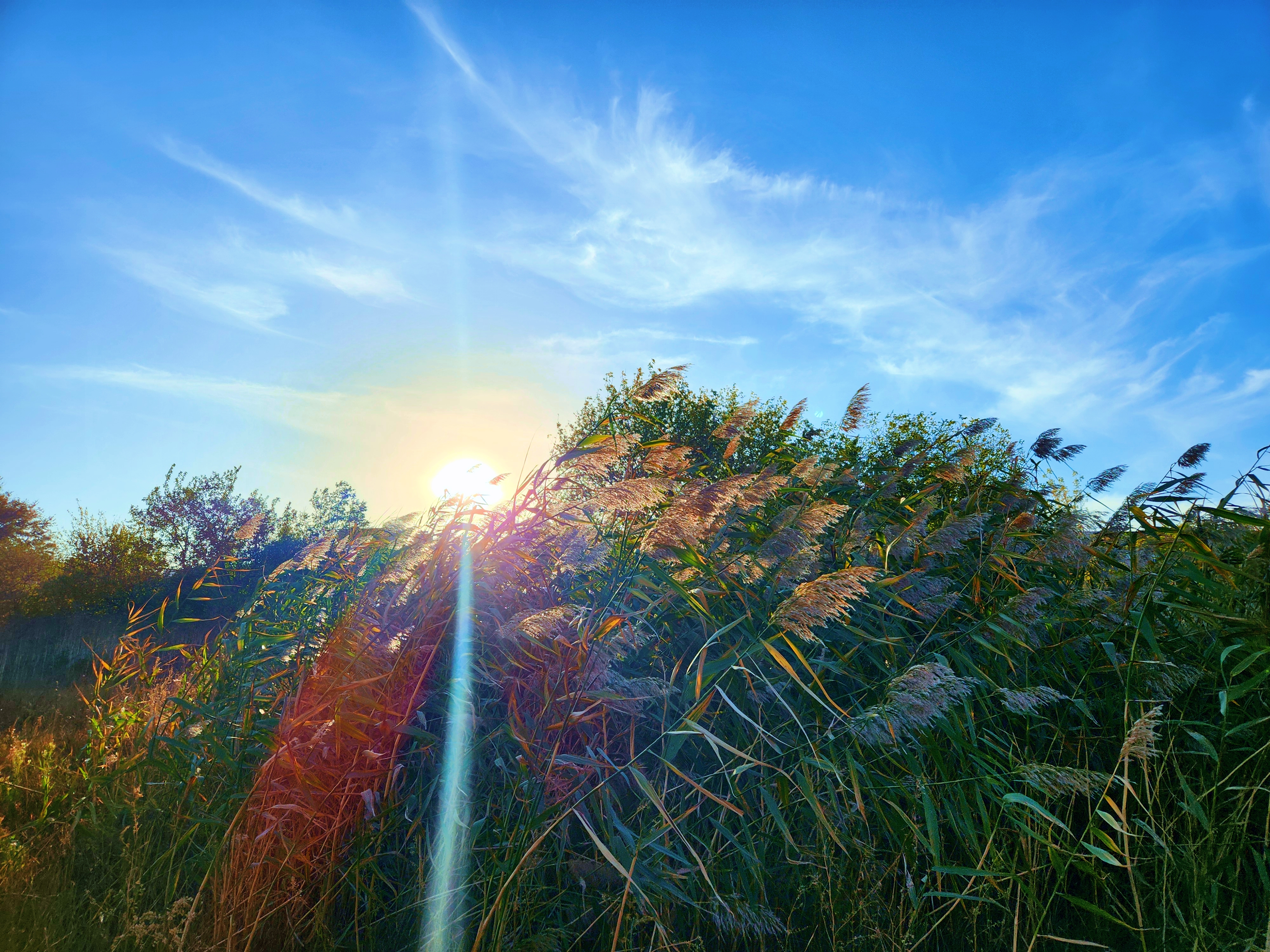 retouch_2024100620493320