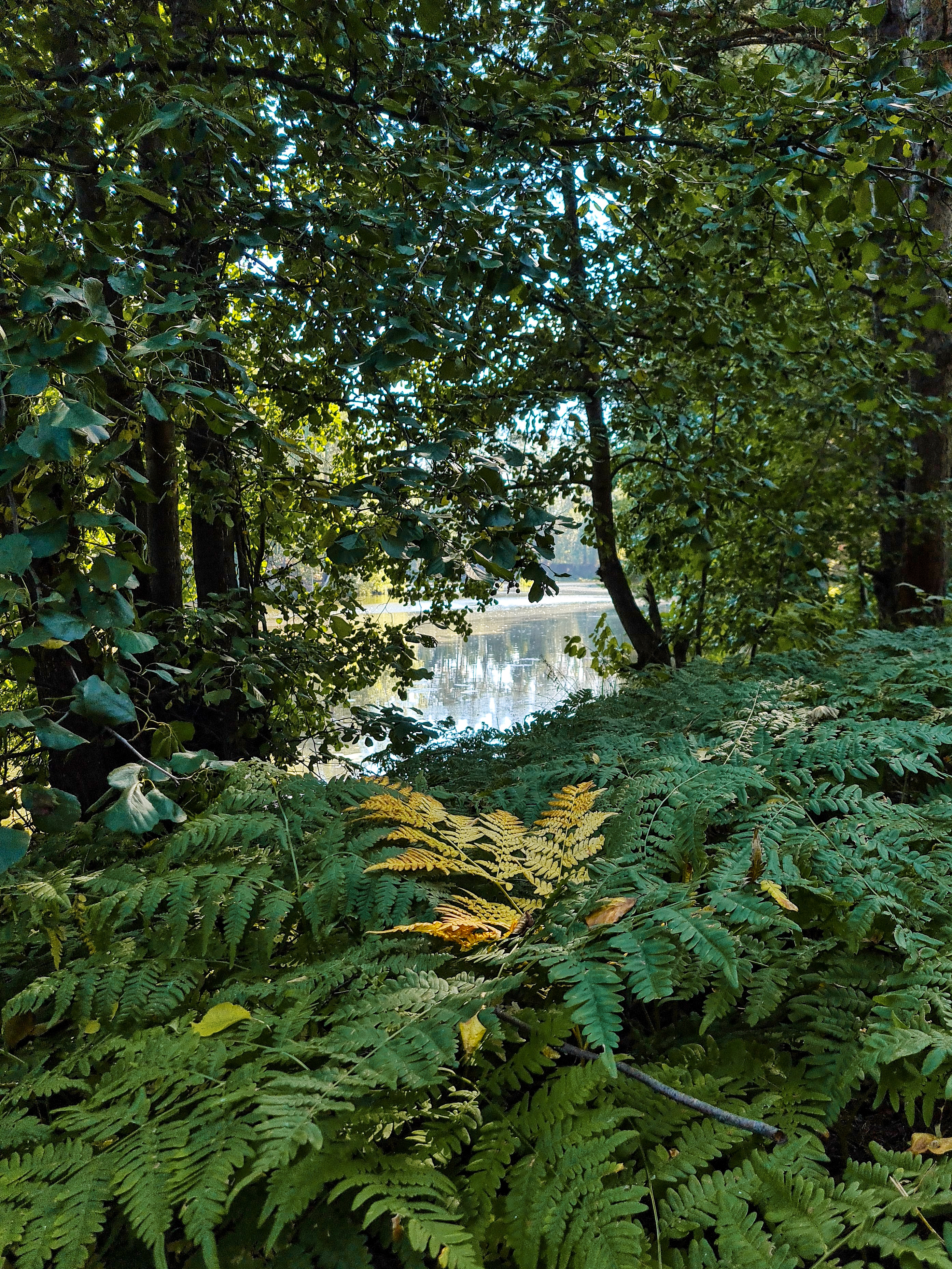 IMG_20251008_092055_643