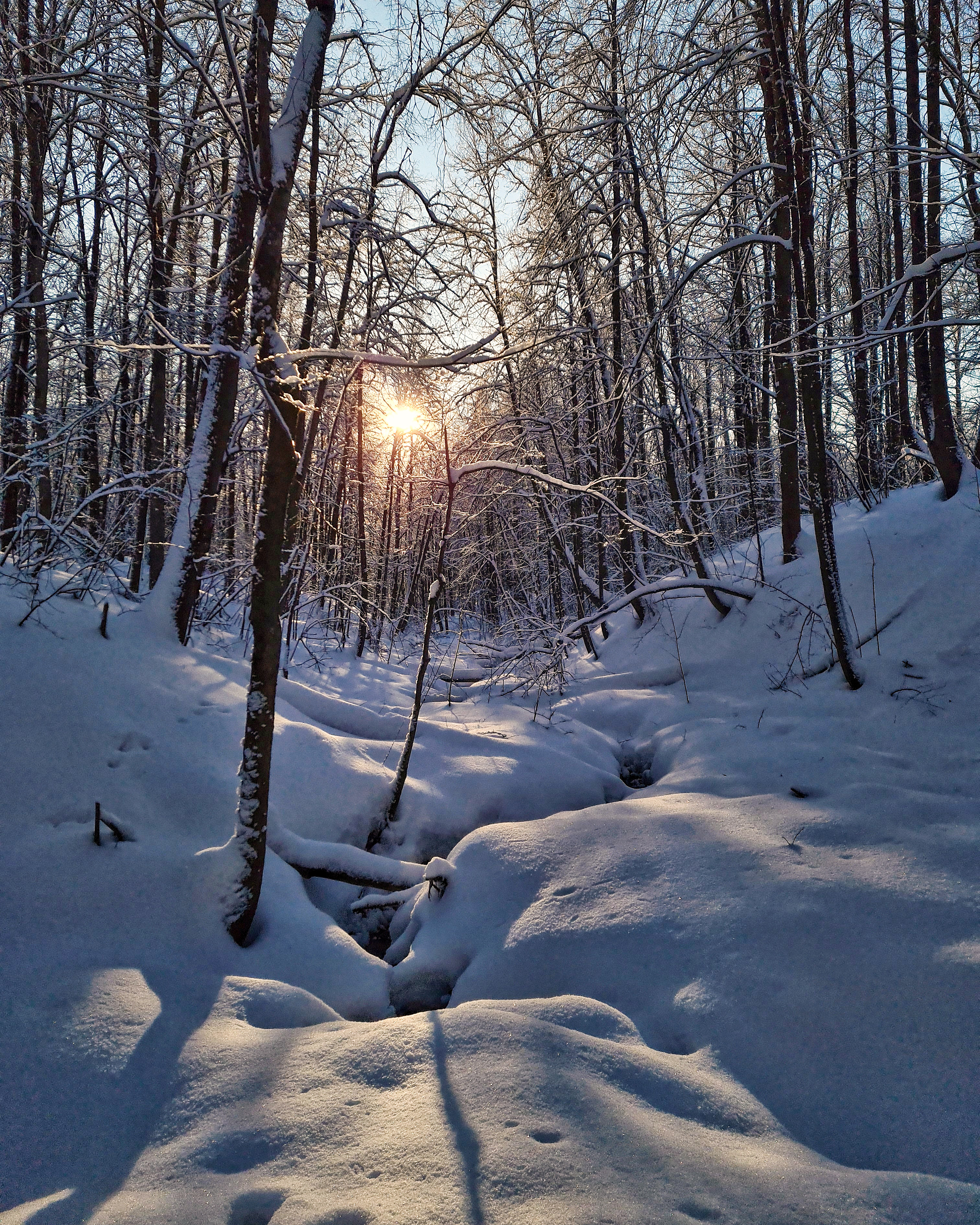 IMG_20251008_091726_296