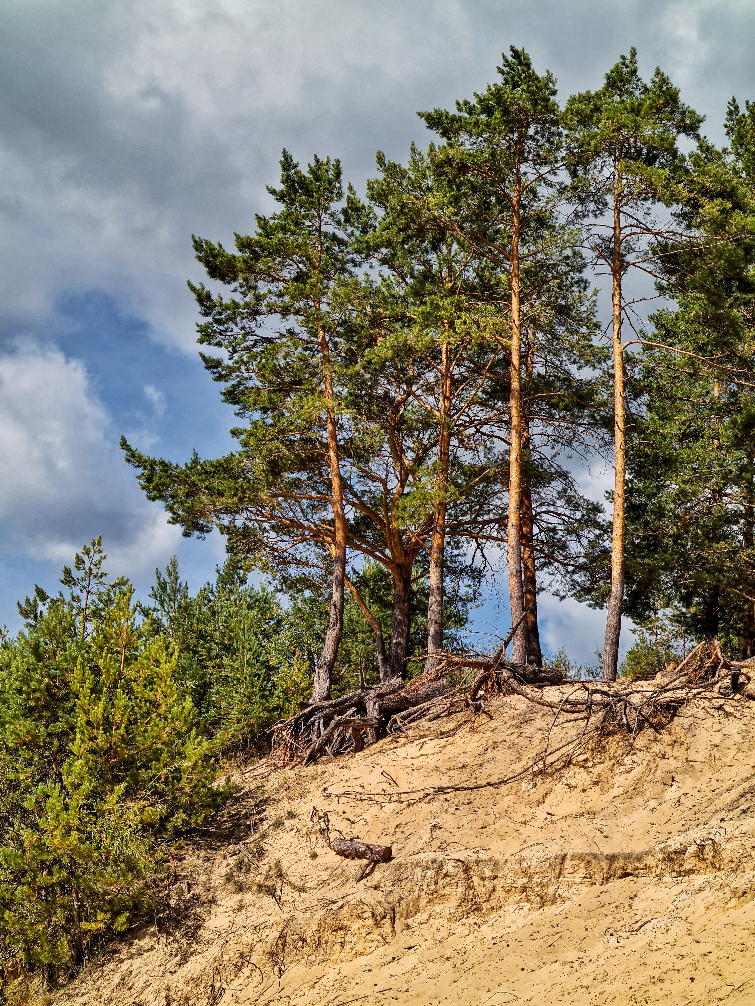 IMG_20251008_085459_534