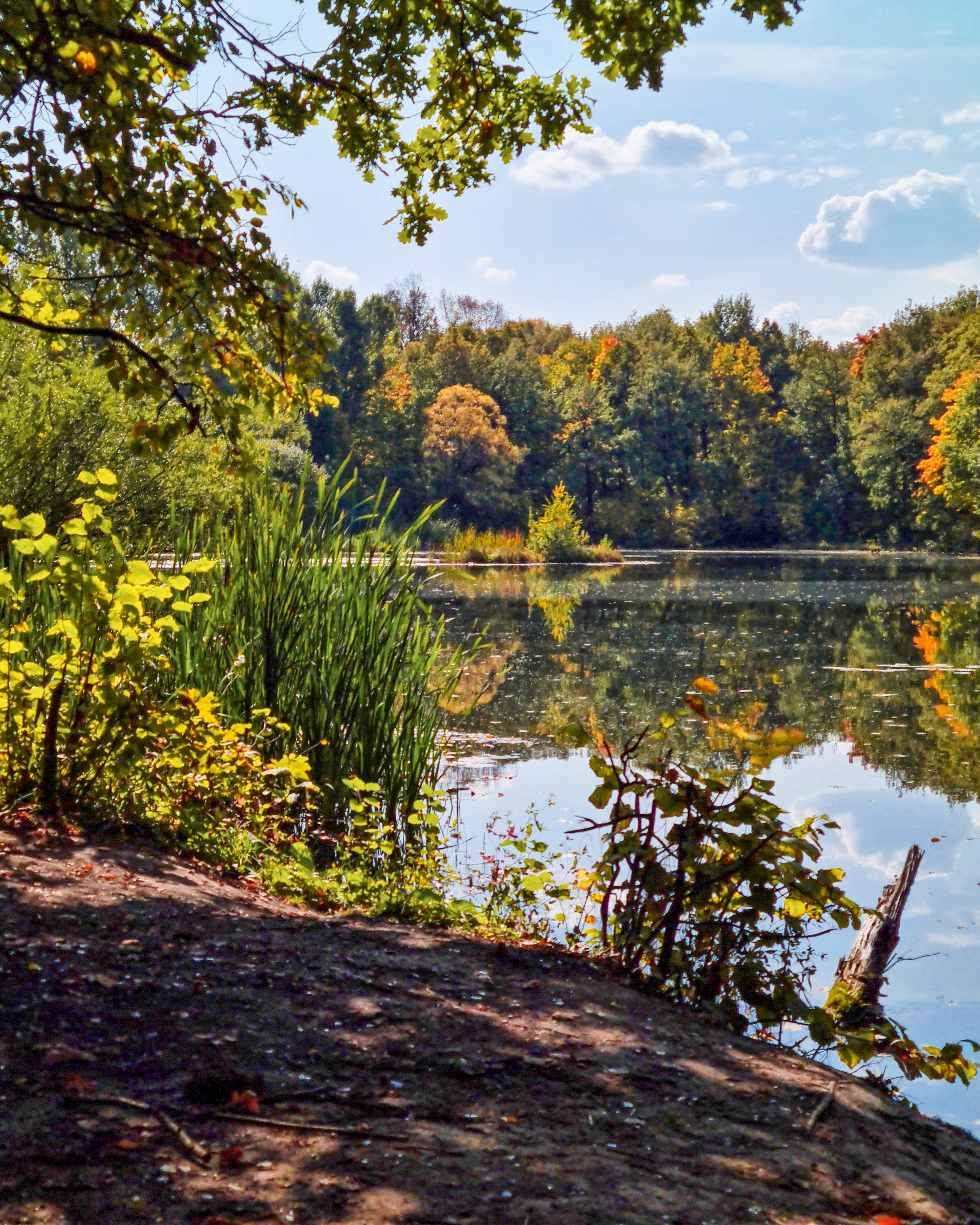 IMG_20251008_091958_902