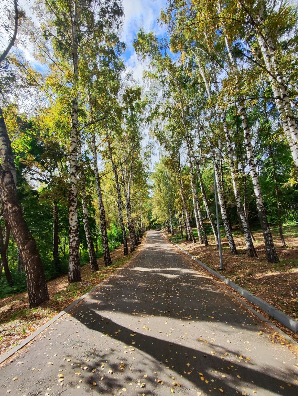 IMG_20251007_193224_722