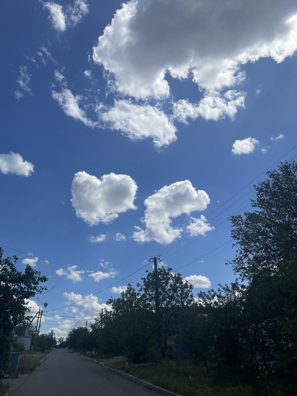 IMG_20251008_105532_312