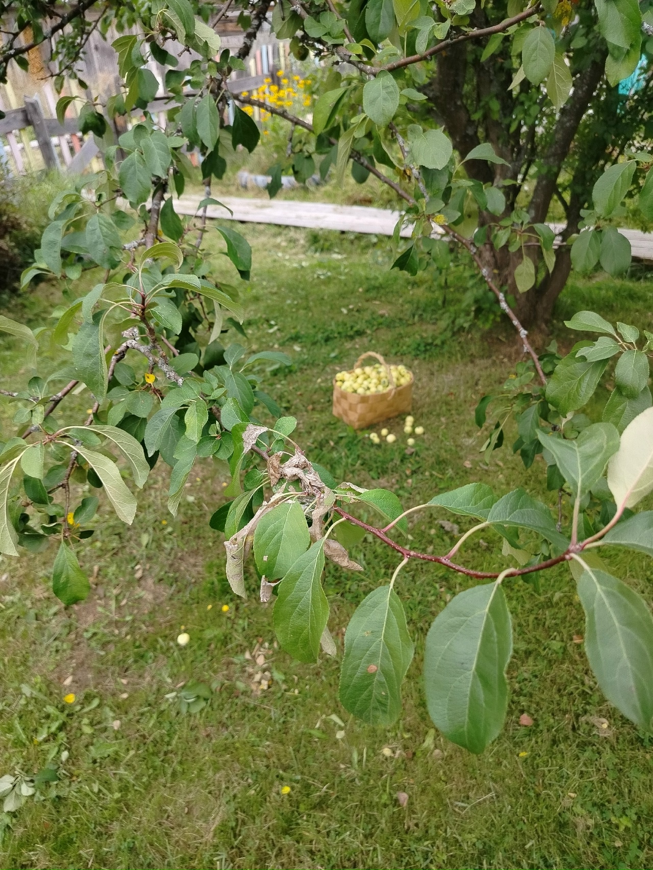 Малыгина Е._3