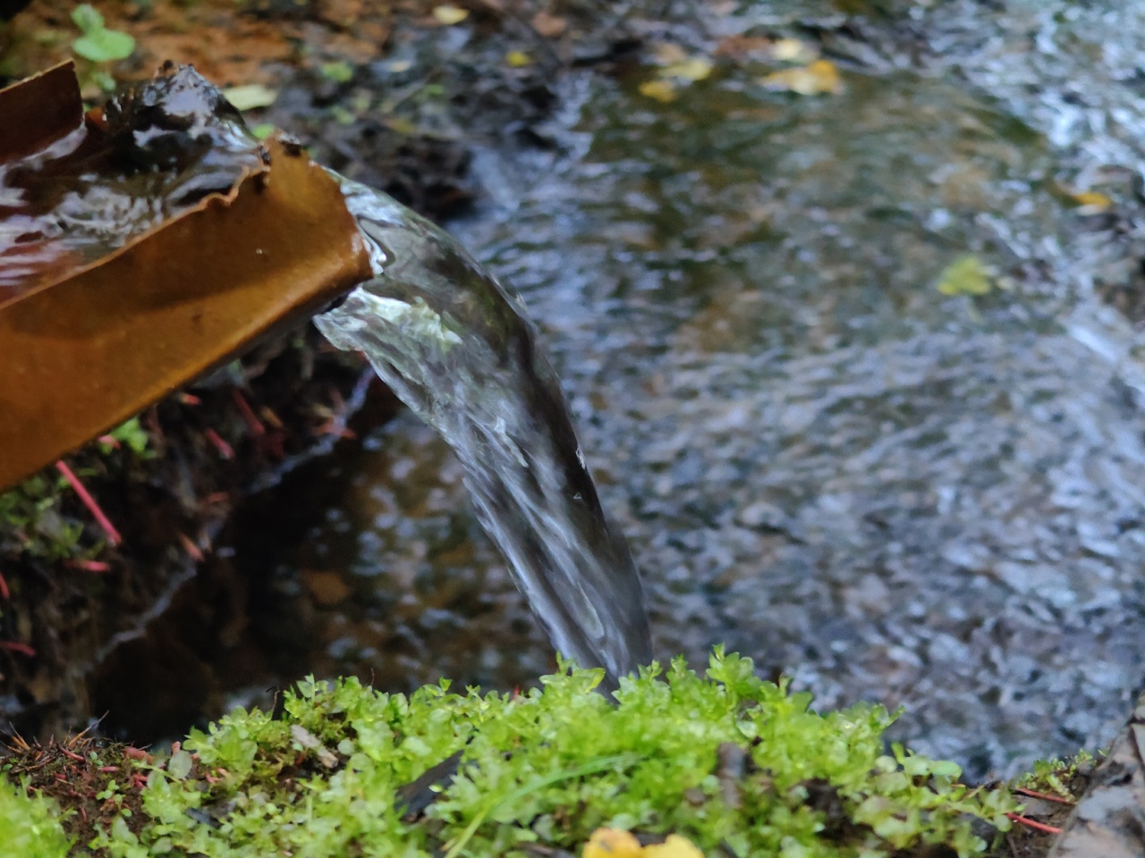 Федорович А._3