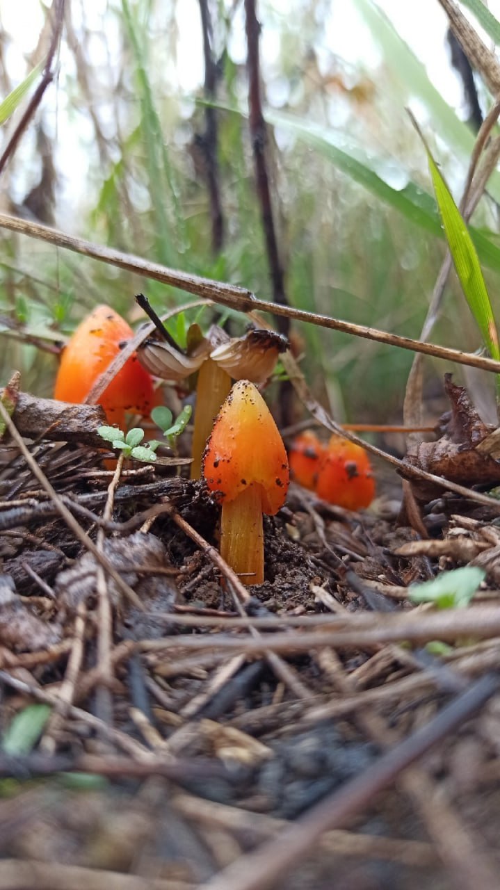 IMG_20240207_134808_446