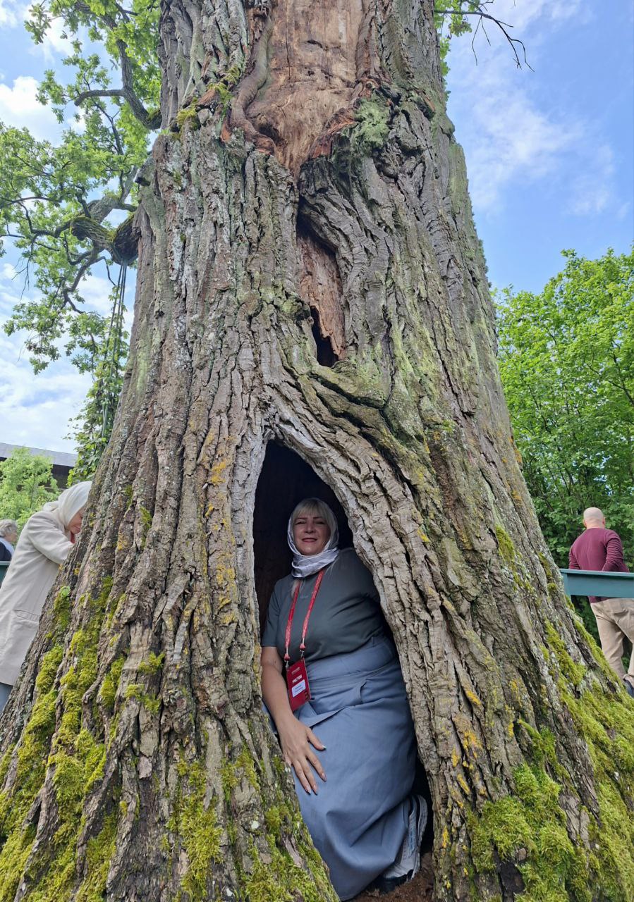 39cd072e-5e7e-491f-914c-dd4607e5de96