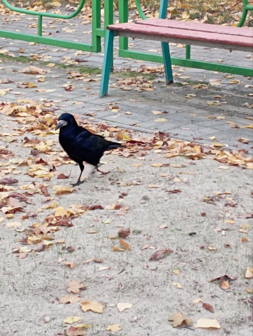 IMG_20251008_121554_923