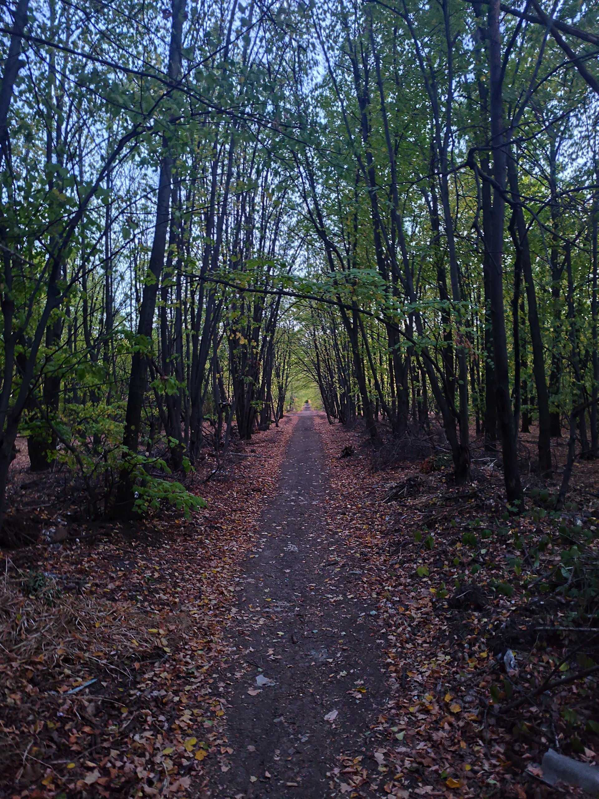 IMG_20251008_122344_160