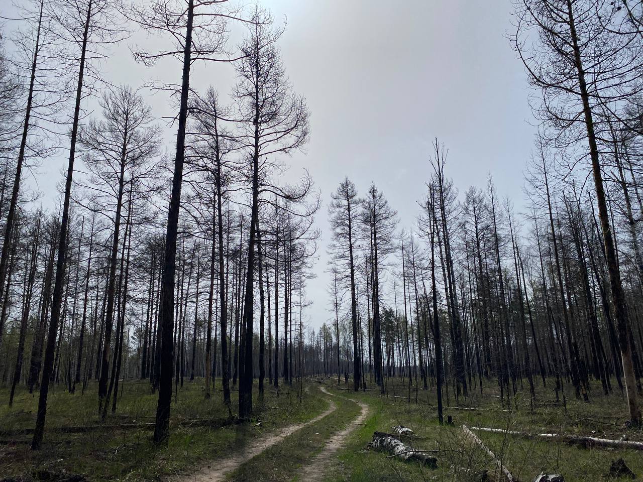 photo_5418194728618424712_y