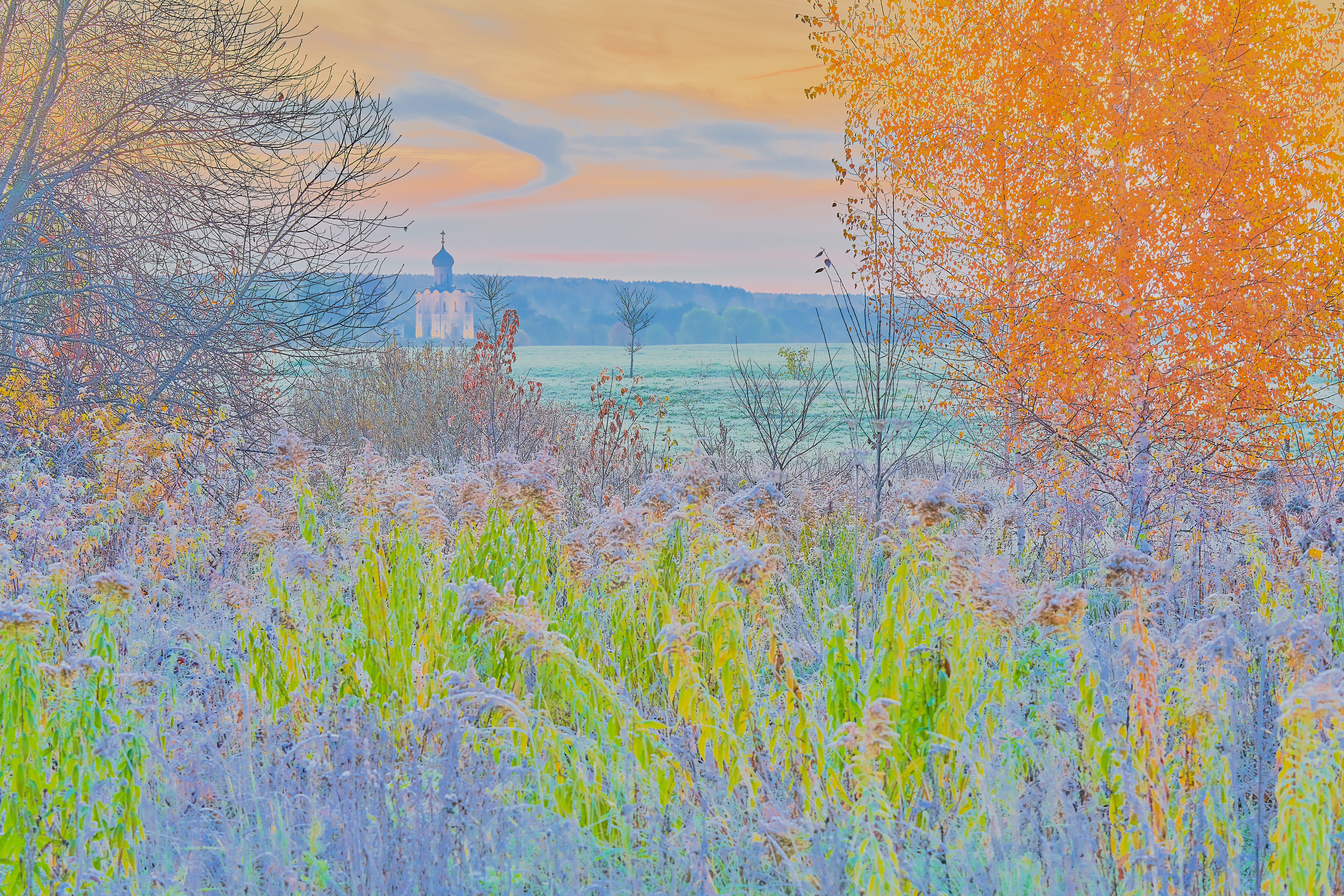 Заиндевевшая палитра. Осеннее утро у Церкви Покрова на Нерли в Боголюбово под Владимиром._DSC8143