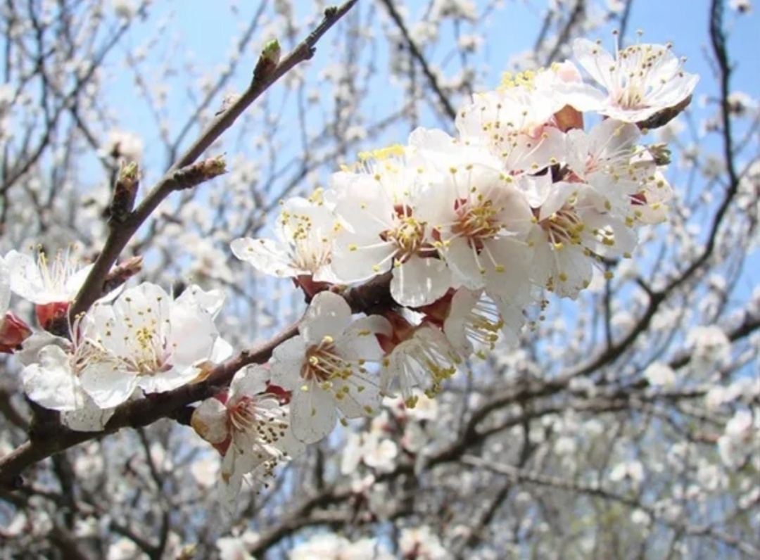 Xzh3ABQC-ipFAtr7L_2LgQkf5ihfGMHC8FZkmoIZTyNtQYKY7CI7UbL9UzKZvUFC3XXdBoNQXXJZfqpTD6WAmrQs