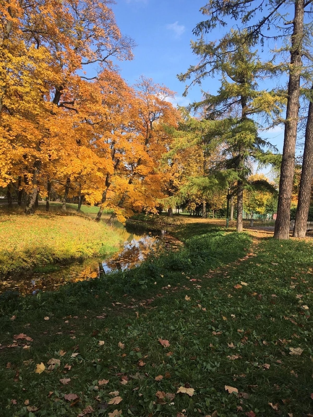 64qIWaxHFPRRZJekonYNRz2MP5b8fjjT-YqSYRcQNbNJQJTQaEbCuo5icw8TIc7sT_8XifpbeKMewH3Cywig0kp5