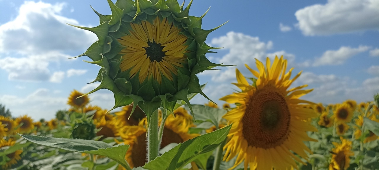 rQkTz3XqcRahTOnETVYH8mKKX7XCIcX6jhN4tje_ywhY1uDMMrOhpixUKwNPRoUYBdjZsxp8BN9c-2Y415aMtJy5