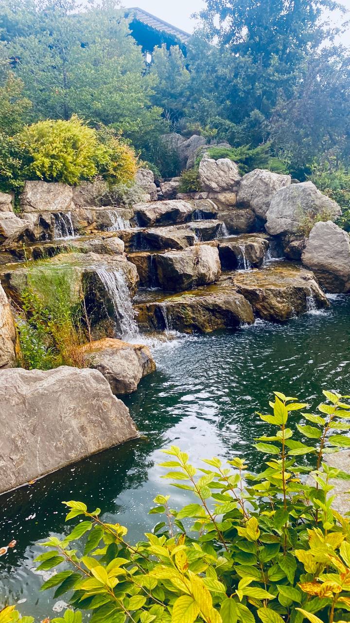 photo_2025-10-08_14-07-01