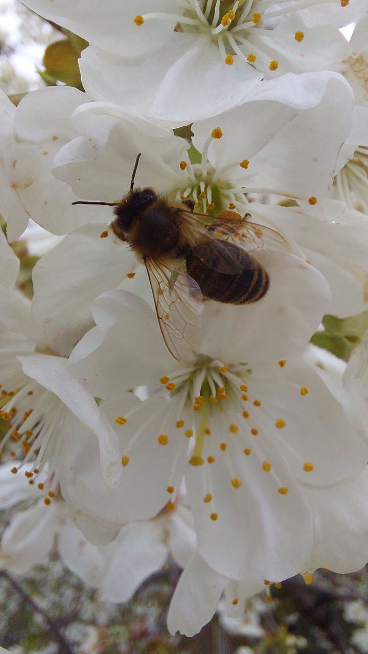 IMG_20251008_093054_618