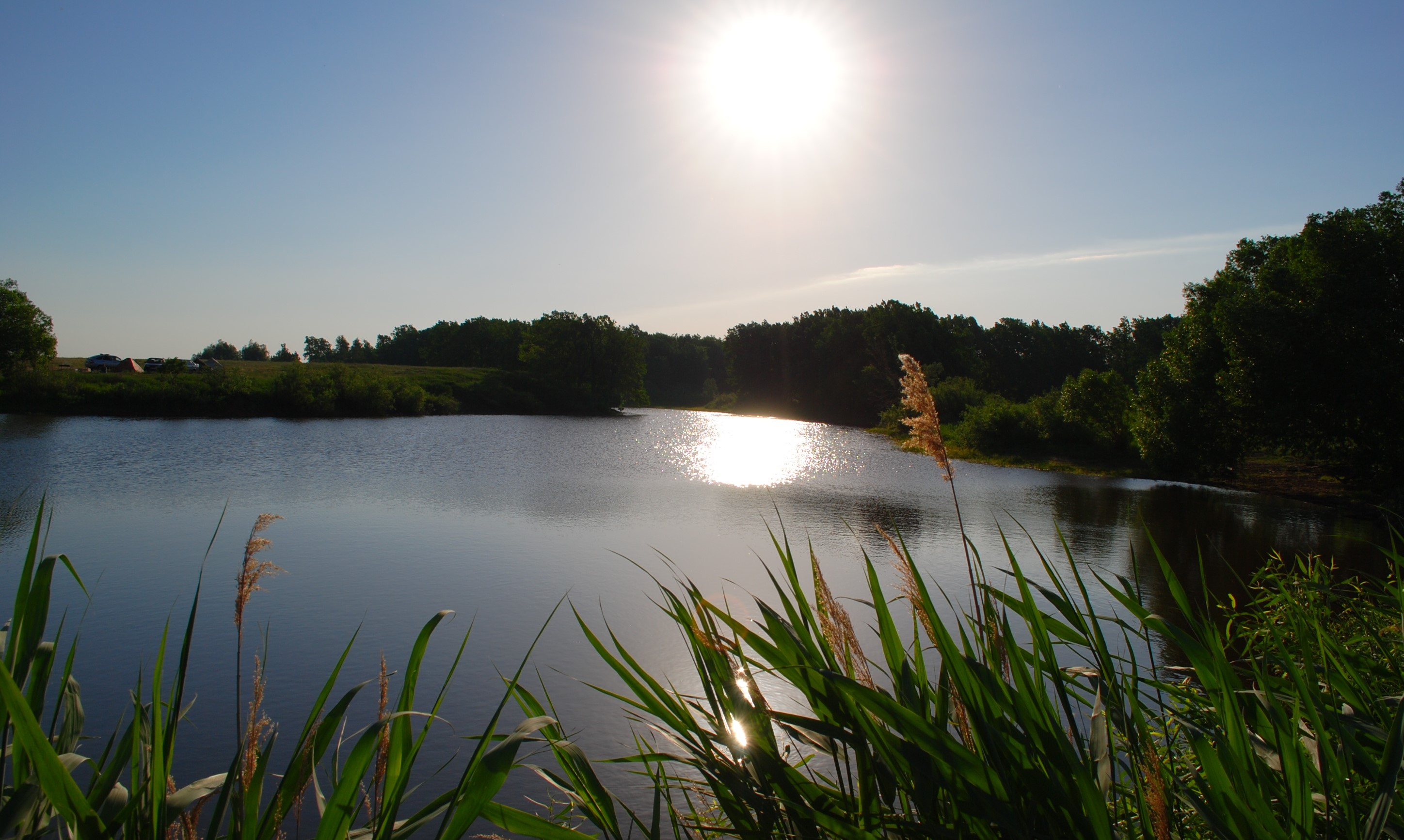 Круглый пруд в Кузьминовских лесах