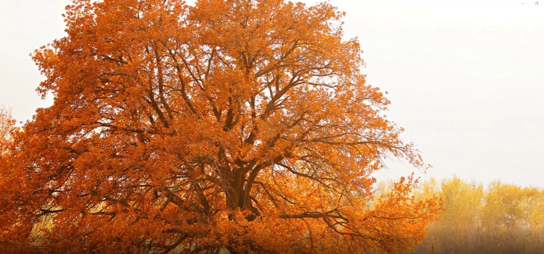 Снимок экрана 2025-10-11 191156