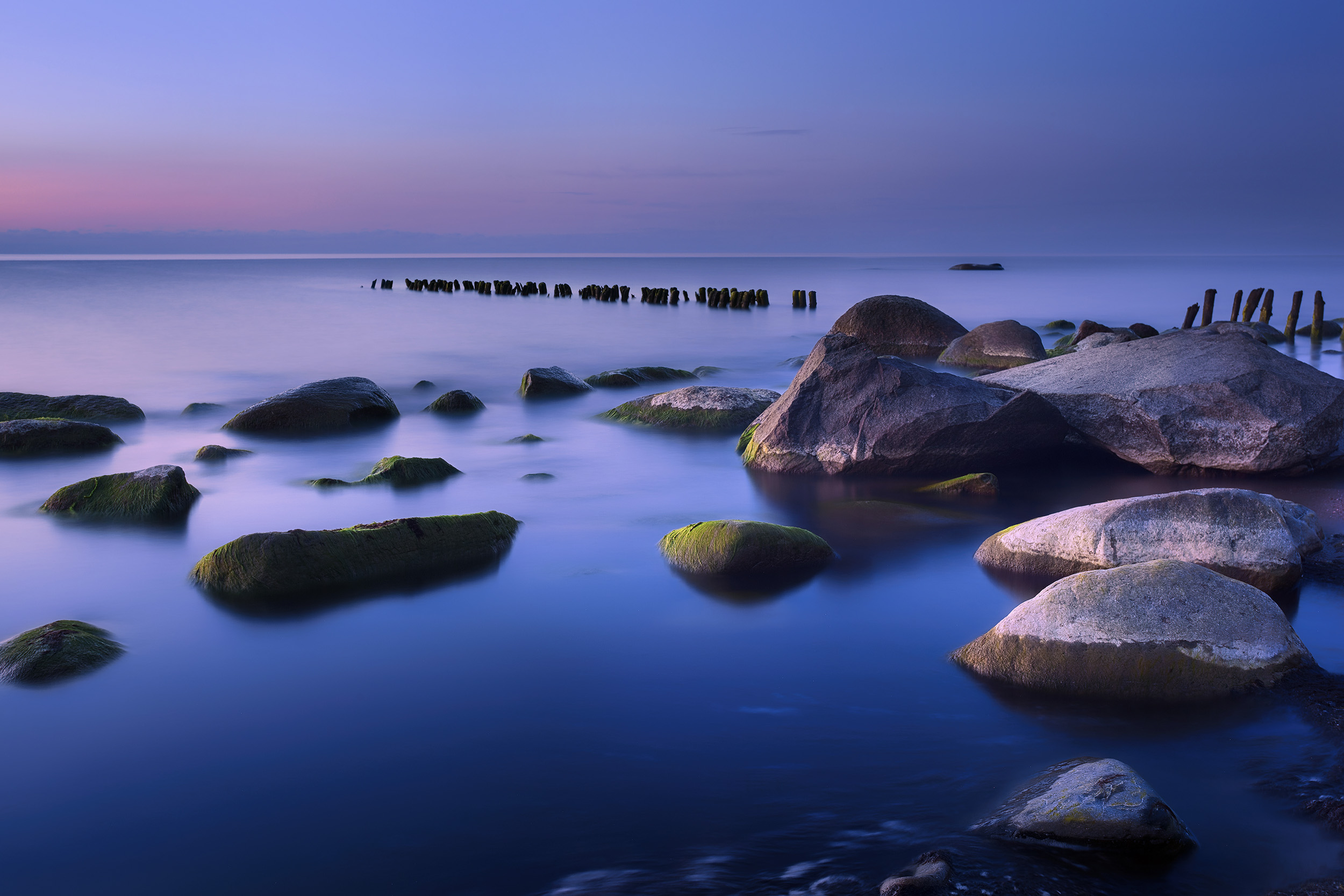 IMG_8087 b копия 2500