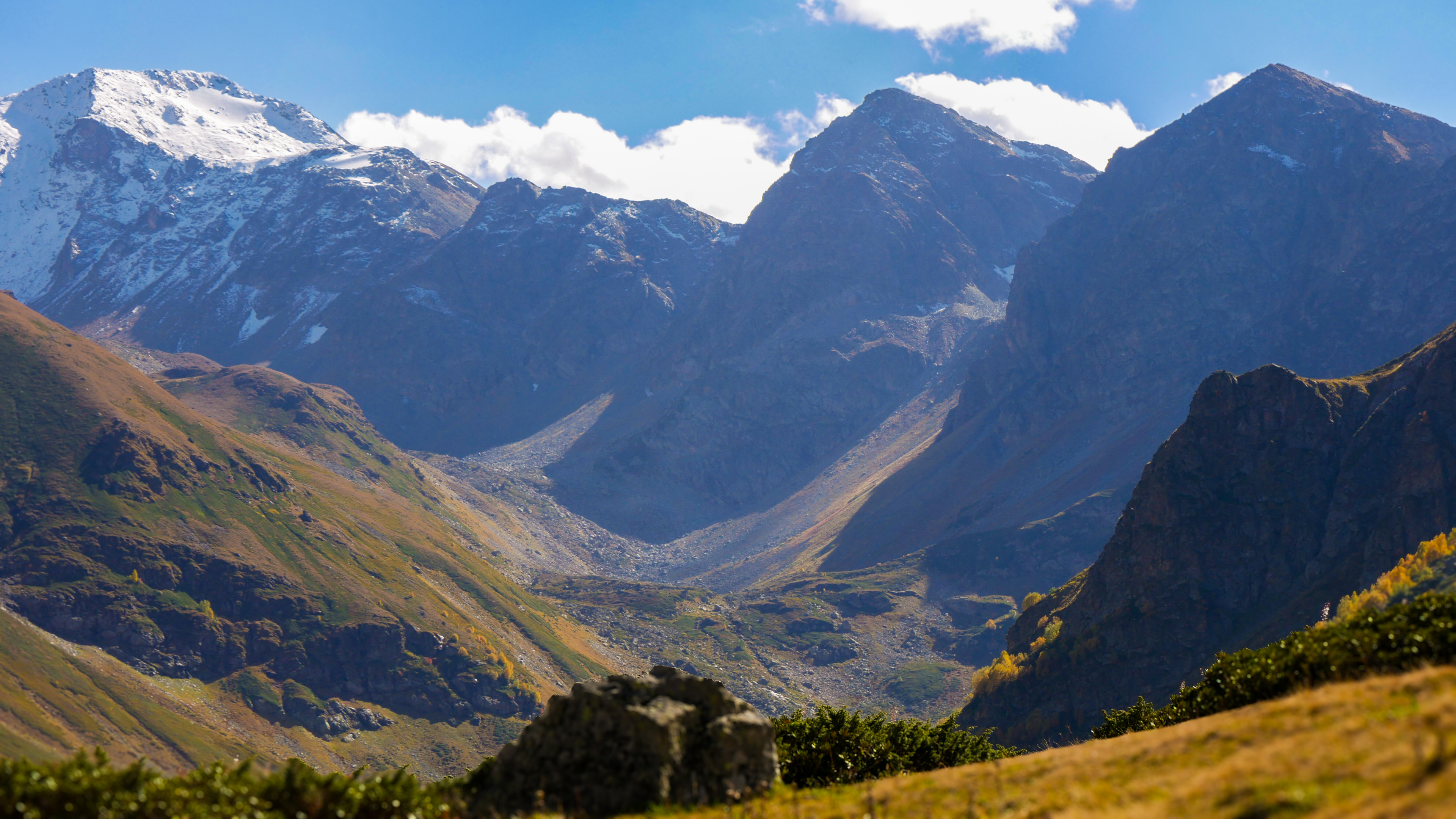 IMG_20251012_223206_664