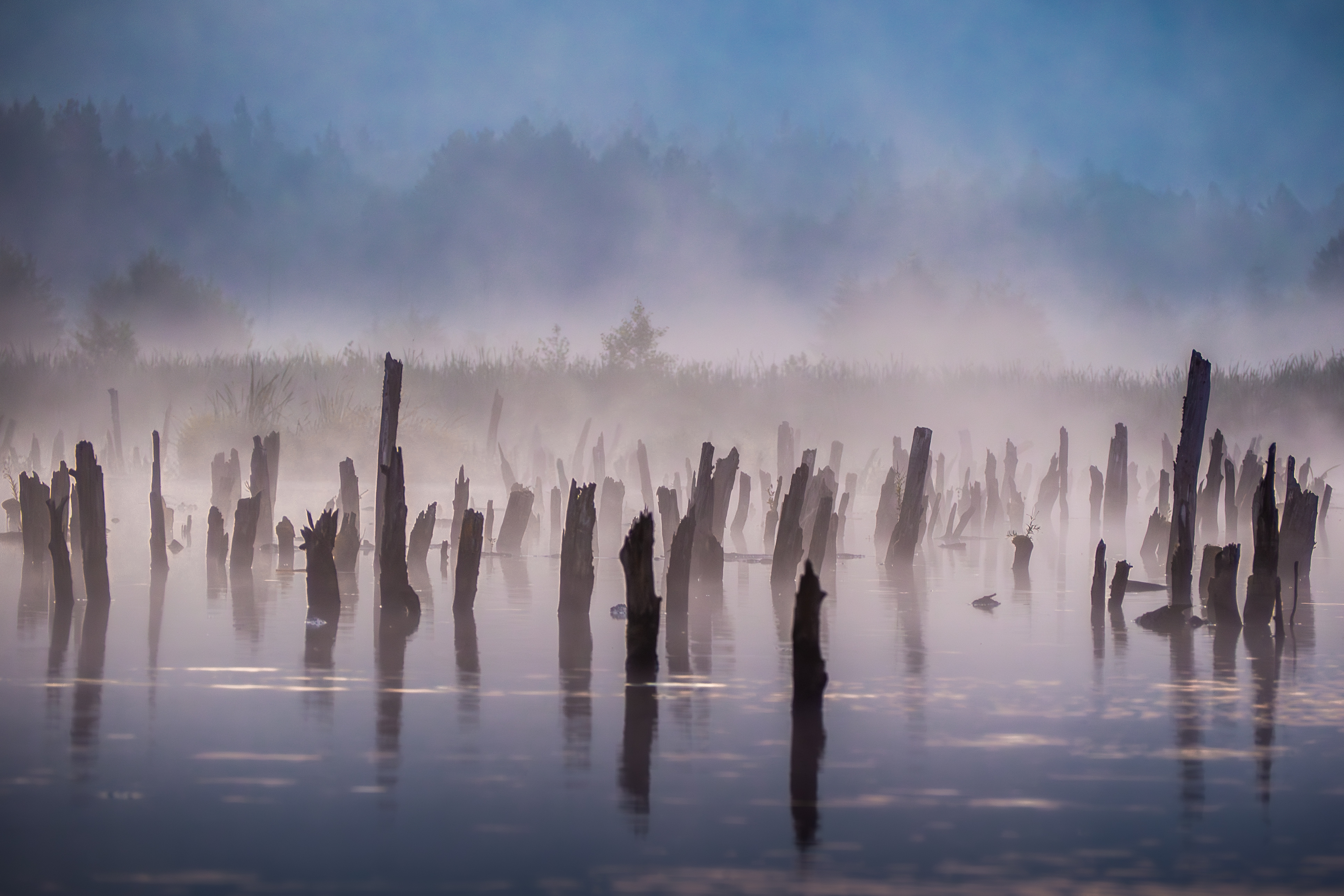 Холодный свет