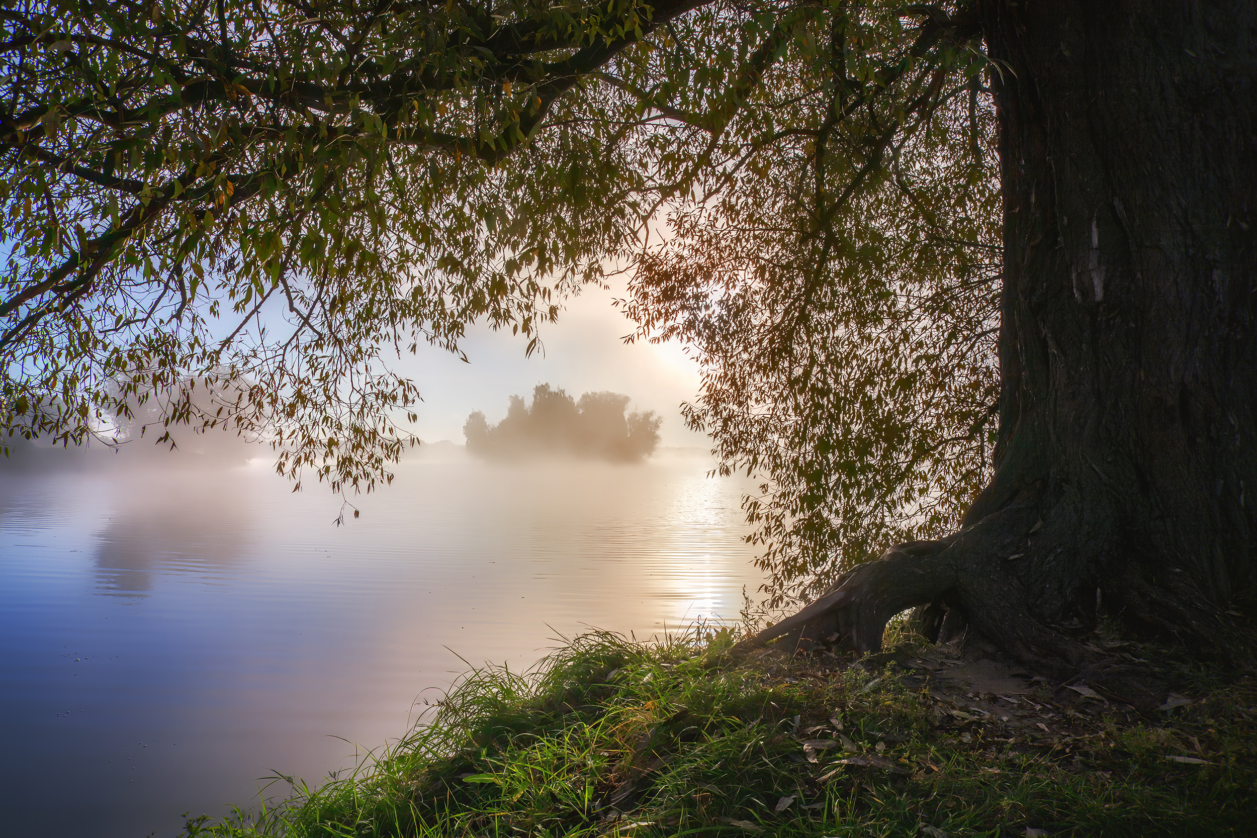 IMG_8999 2500 копия