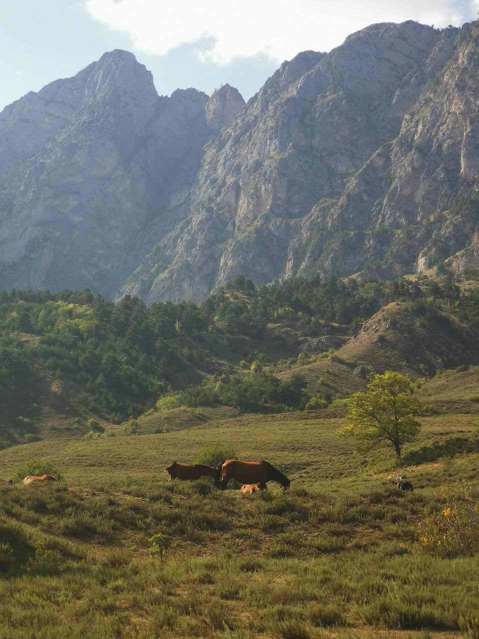 IMG_20251012_224902_409