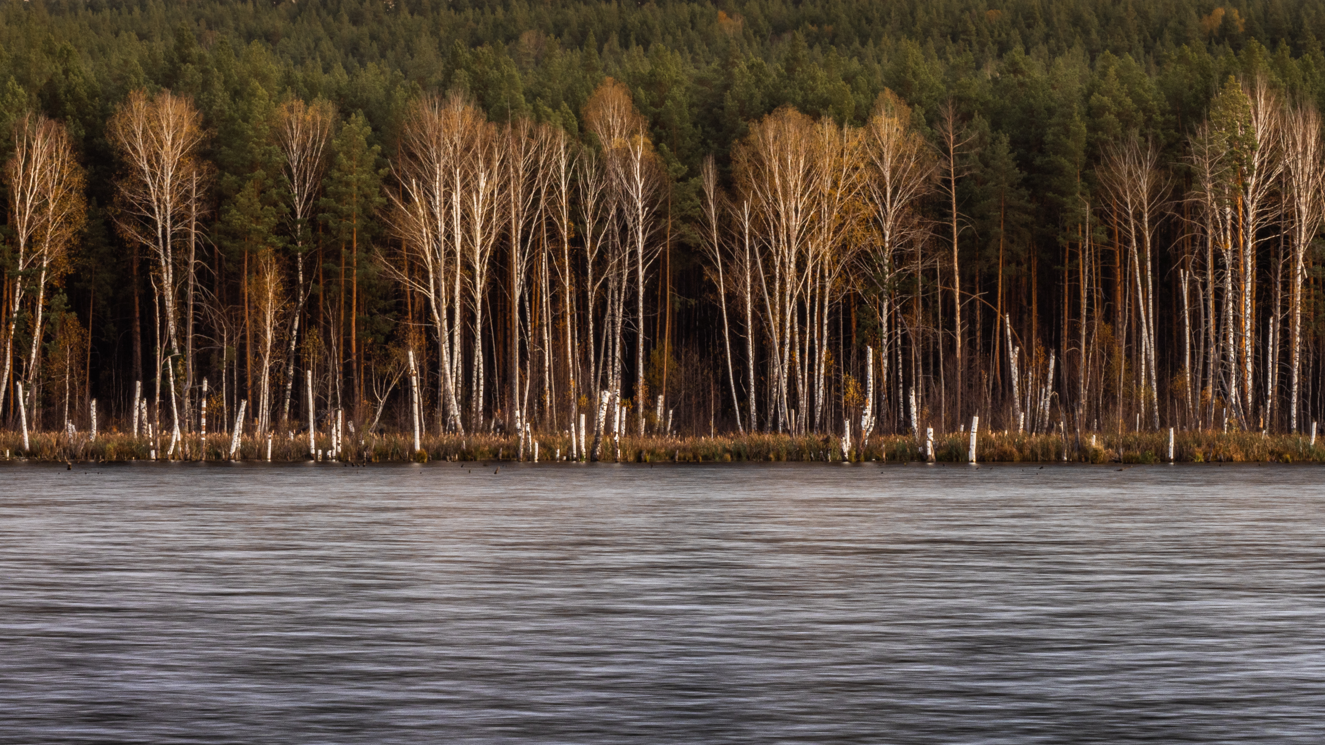 Поздняя осень