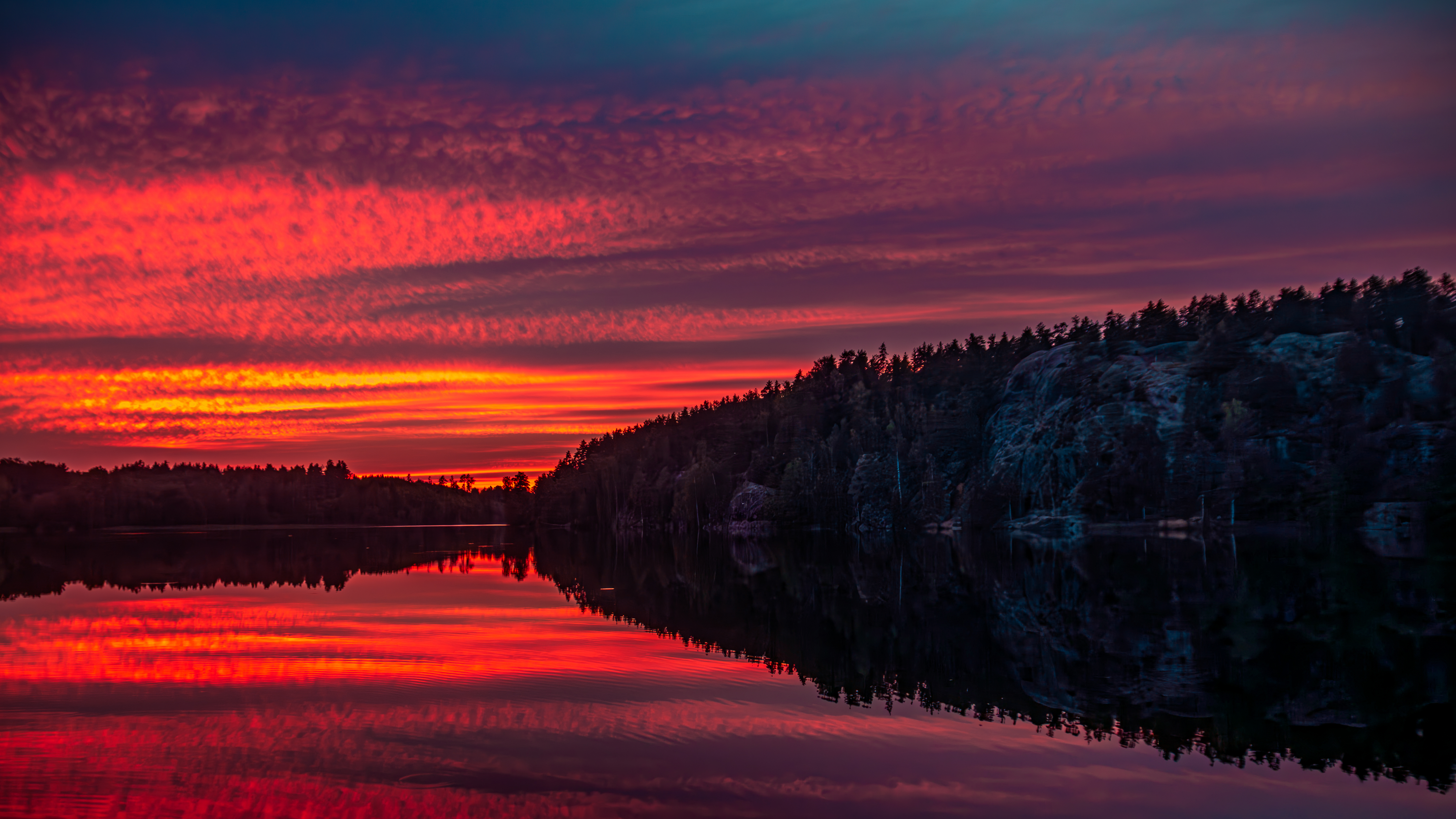 IMG_9592-Улучшено-Ум. шума-4