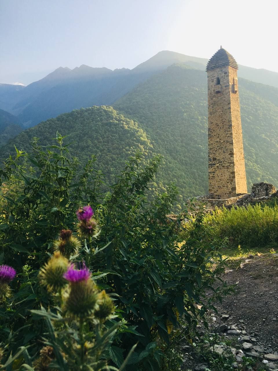 IMG_20251012_223519_628